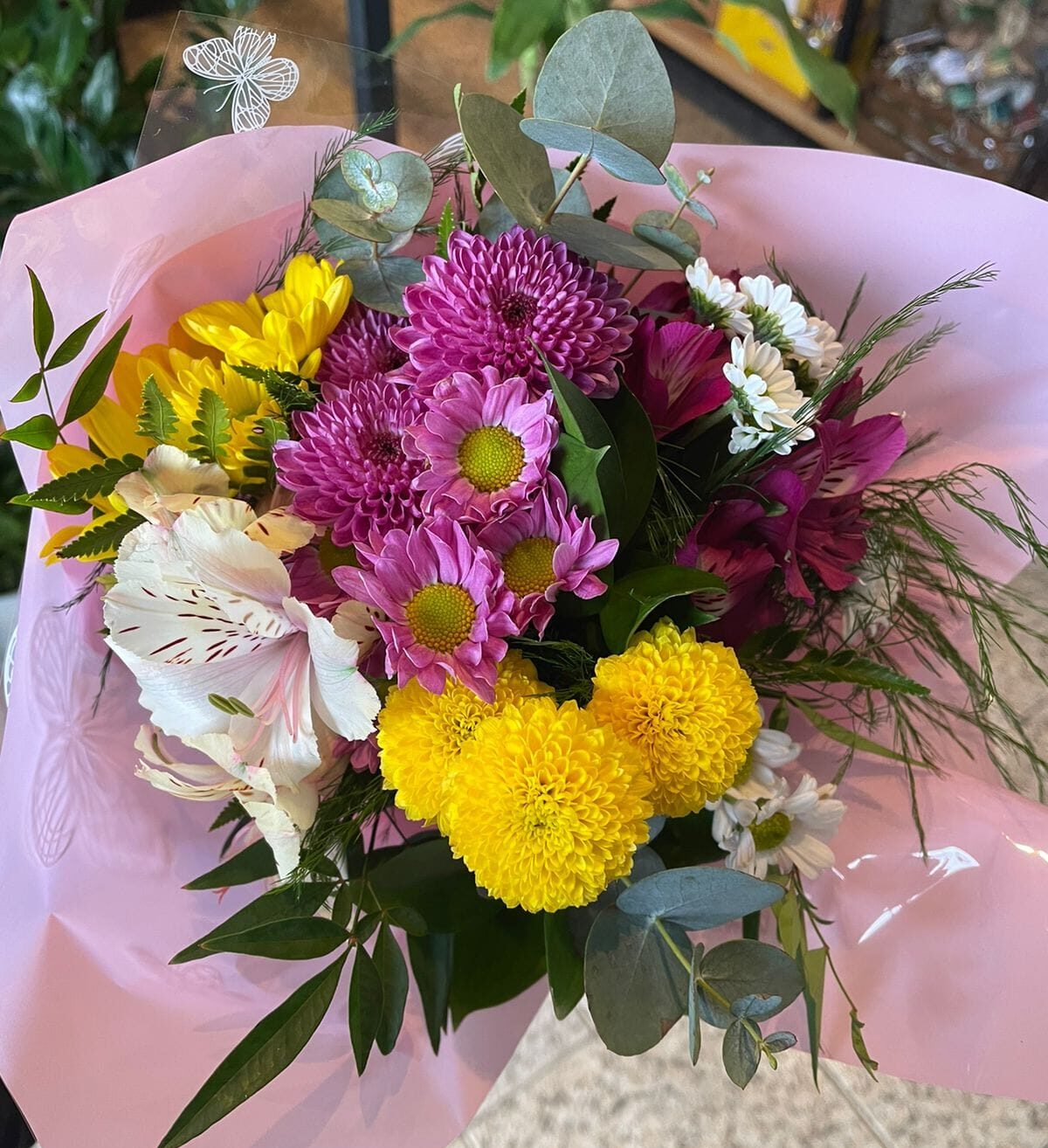 8b2926fd-16fa-4bc4-ad1d-8151eec0e69d