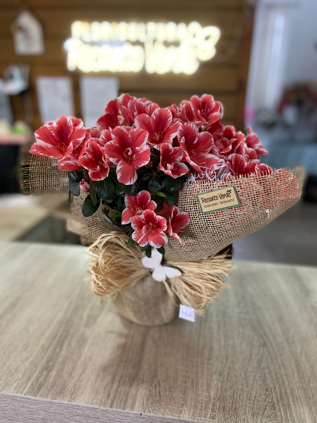 15406437-e448-4406-b1dc-3ea1c367b1b0