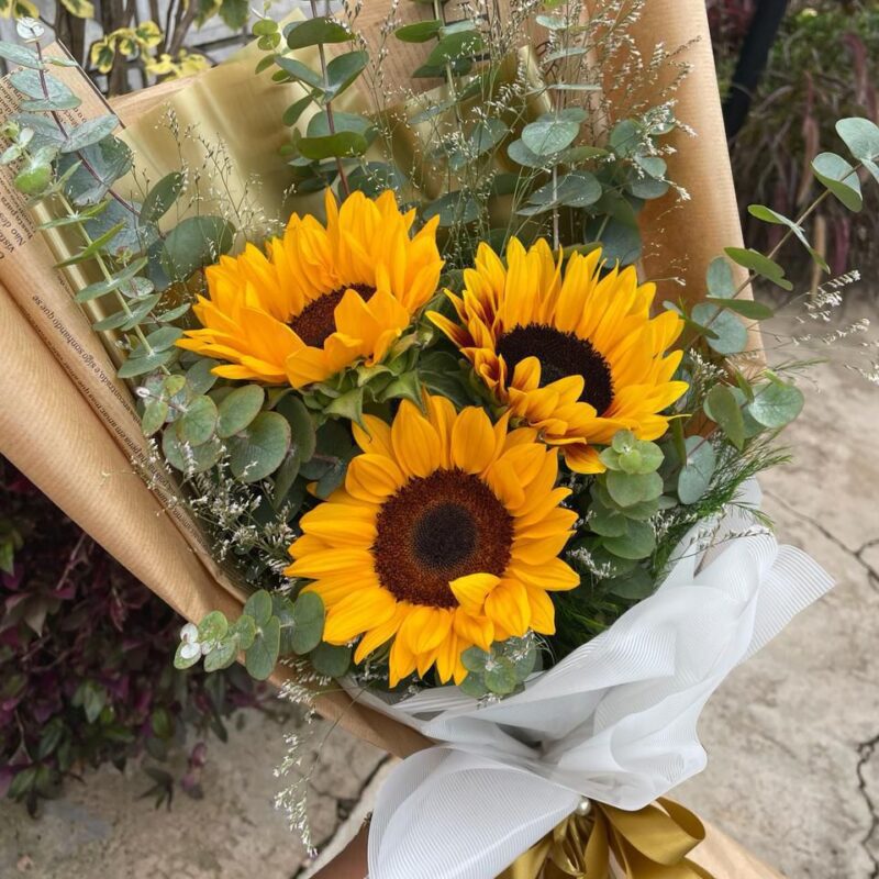 2154a94a-8fd1-43ed-8628-c0c8745d482a