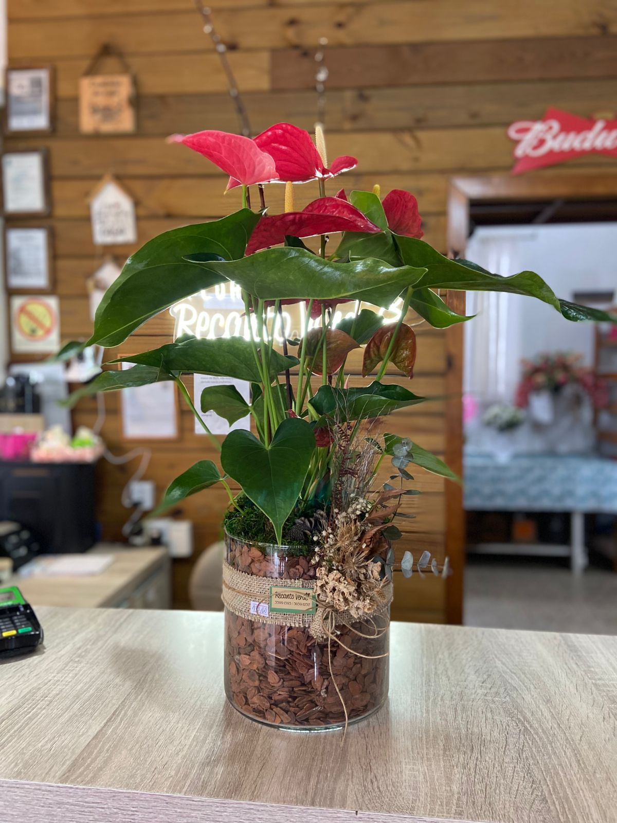 447ccaa7-29fd-415c-8ce7-f477bb4b5e40