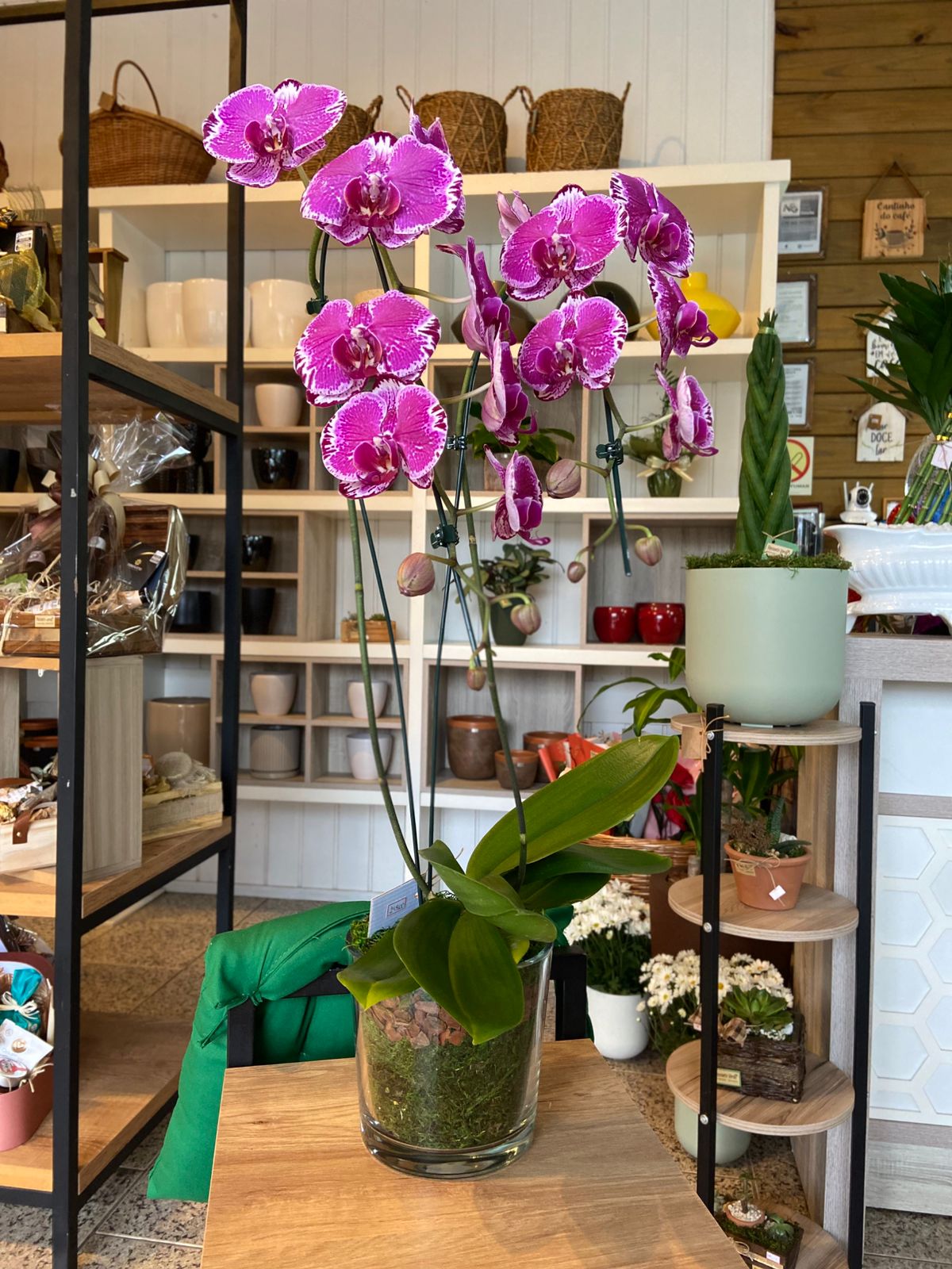 48de5901-dd14-4e3b-a6d6-404a994da873