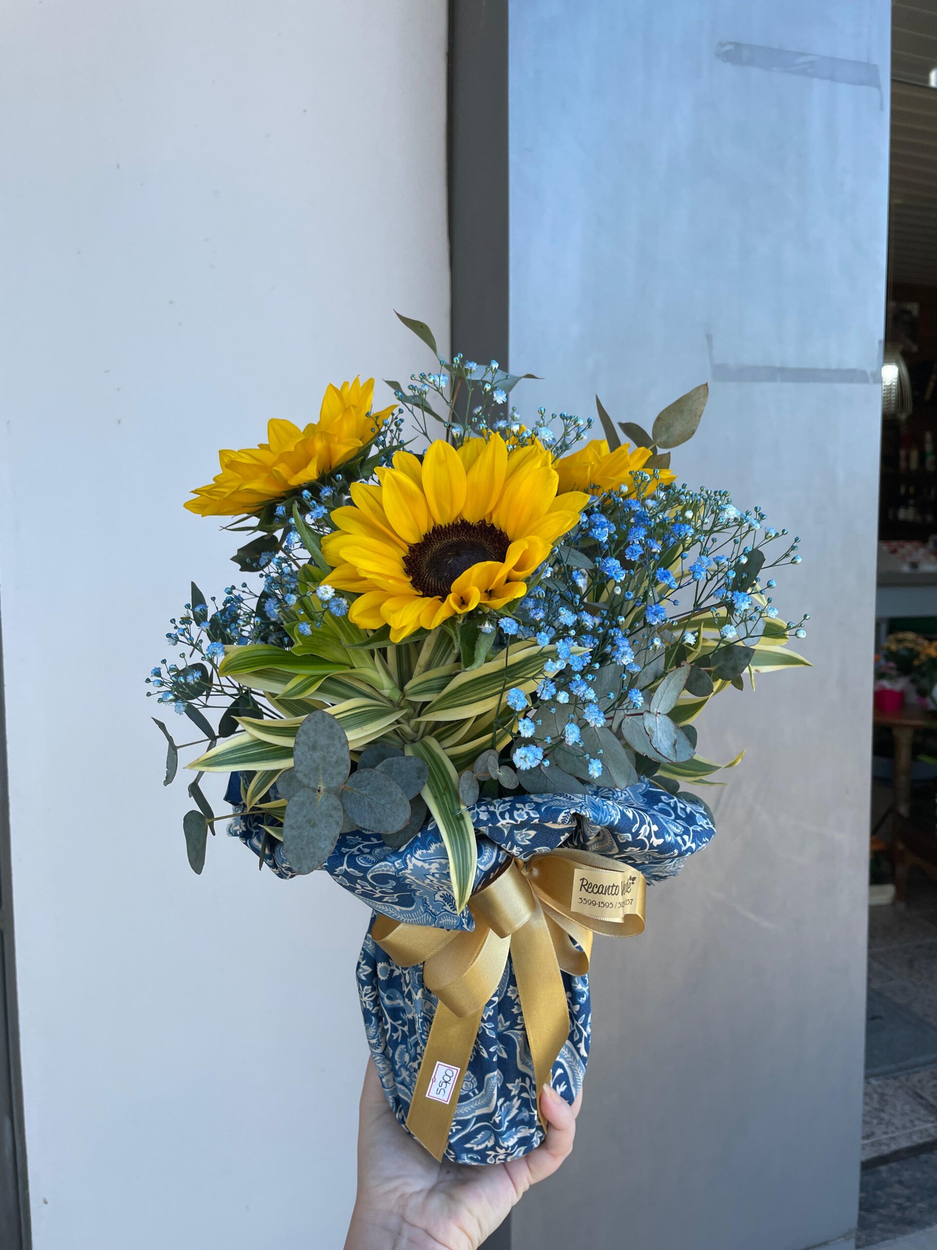 4c9d3696-d8b6-4c42-b776-5628fe8e02bd