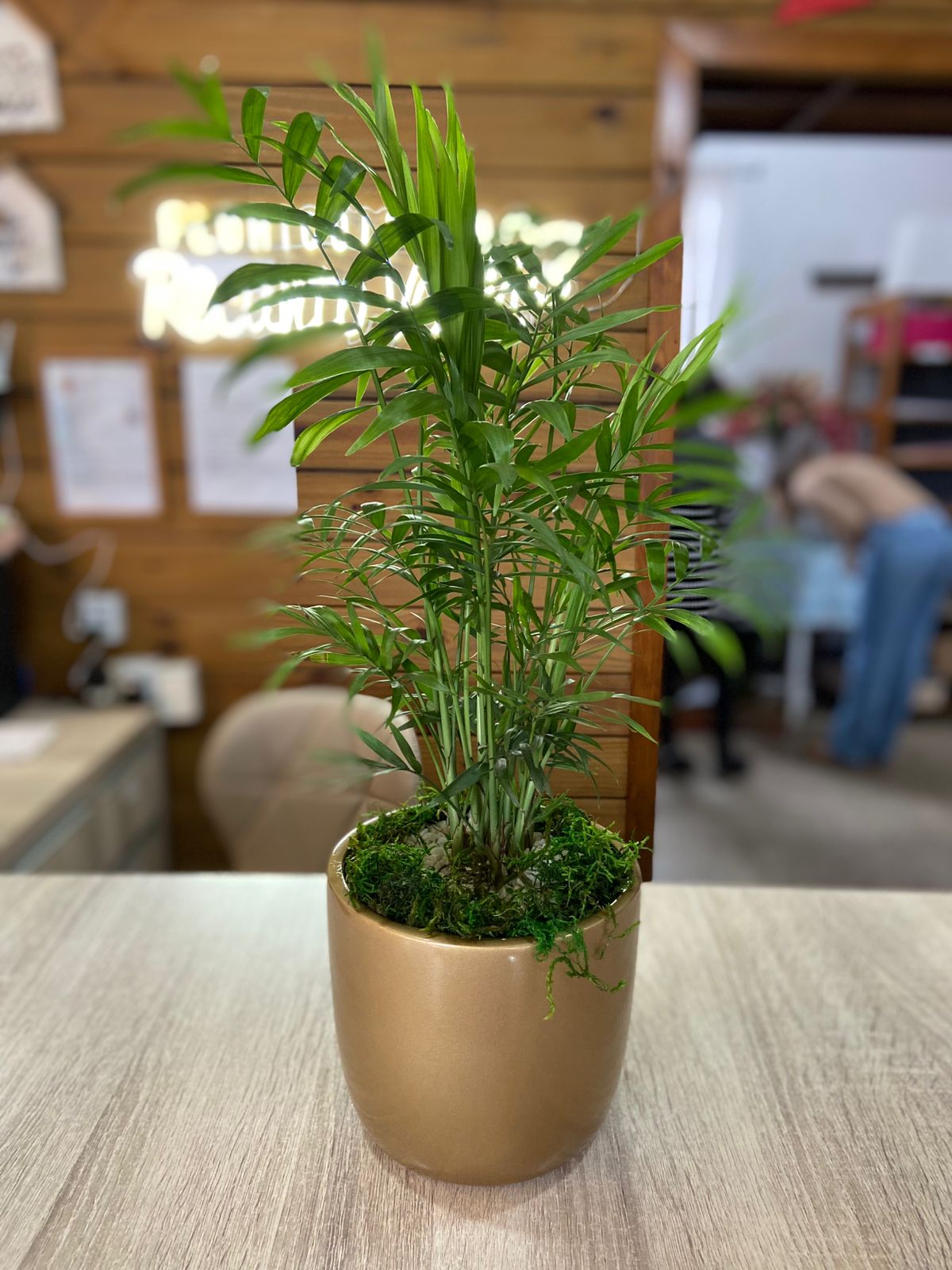 4e158a84-6962-4d4b-9c0f-bf837143d02b