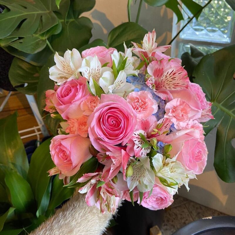 5f81c5fc-3baa-4e25-bef9-c19b22f773cd