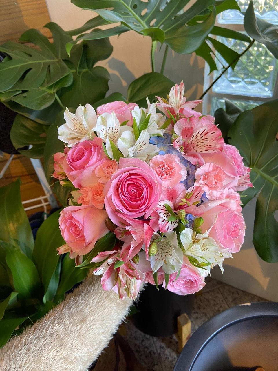 5f81c5fc-3baa-4e25-bef9-c19b22f773cd