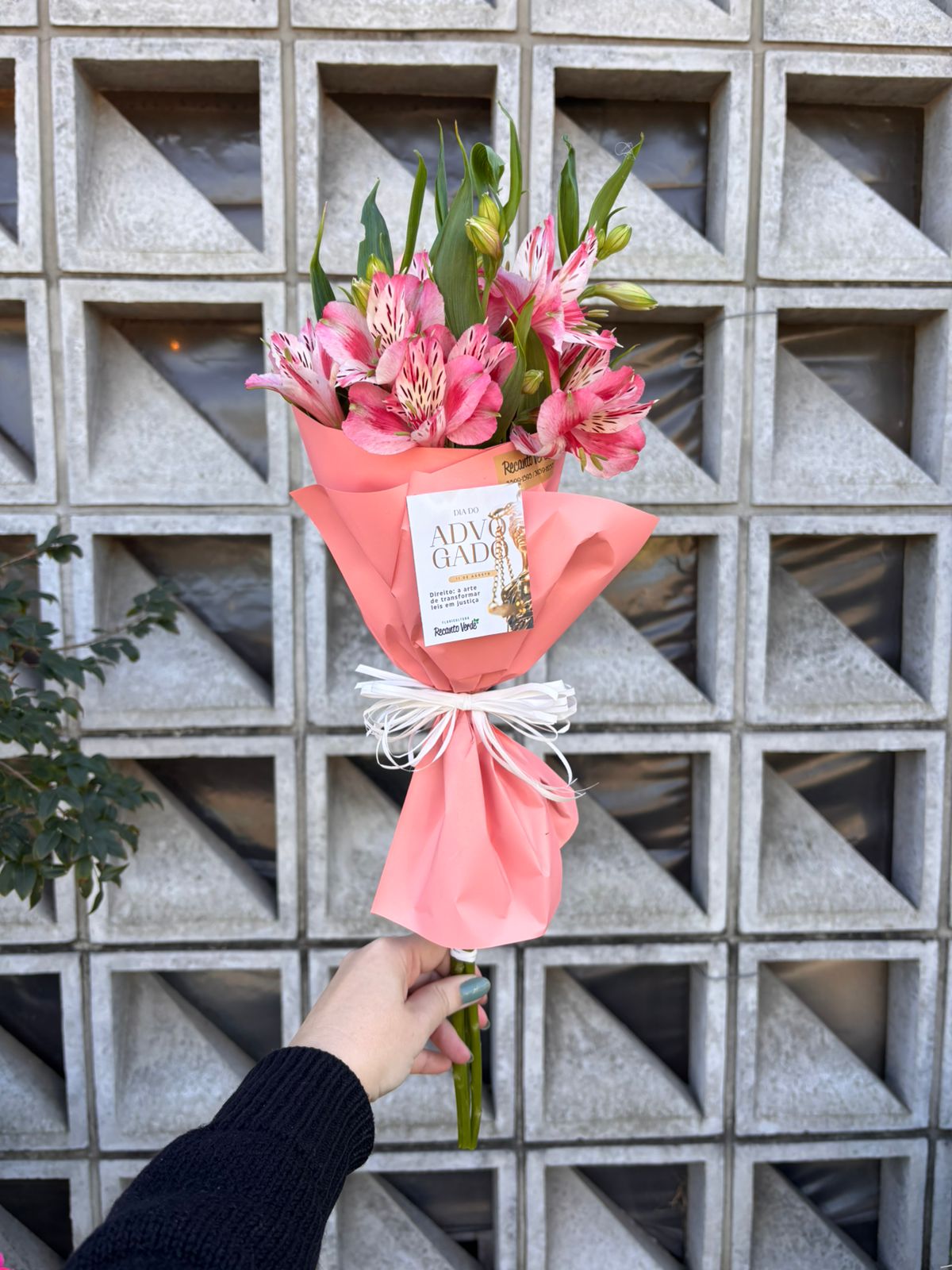 618ec4ae-5c44-4891-9a28-93c905c45268