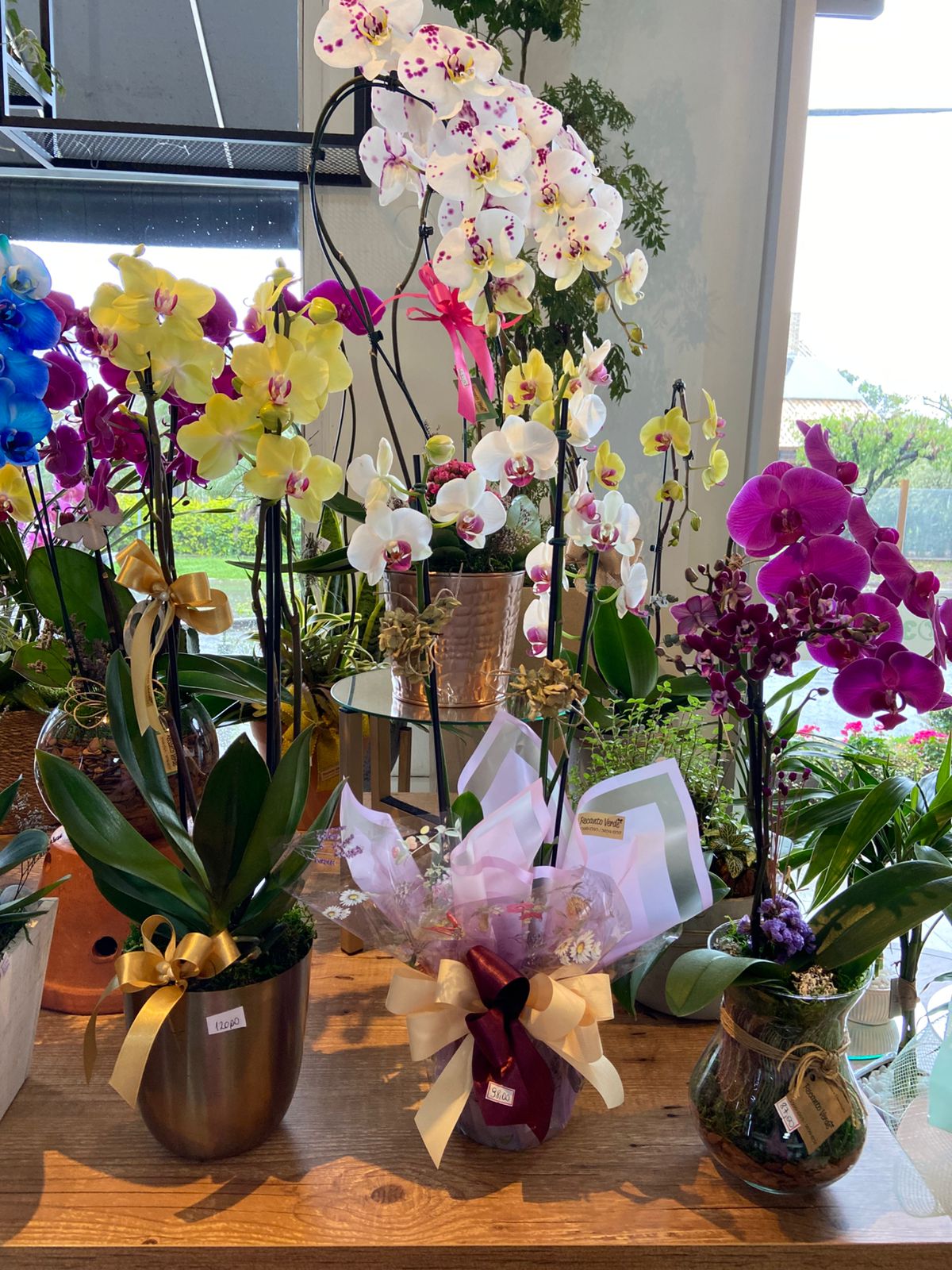 6f711079-e3e9-48a4-9236-c6ffee4ec037