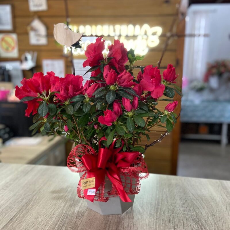 7cb0b6a2-0005-4df1-91b2-3cc98c7cc40c