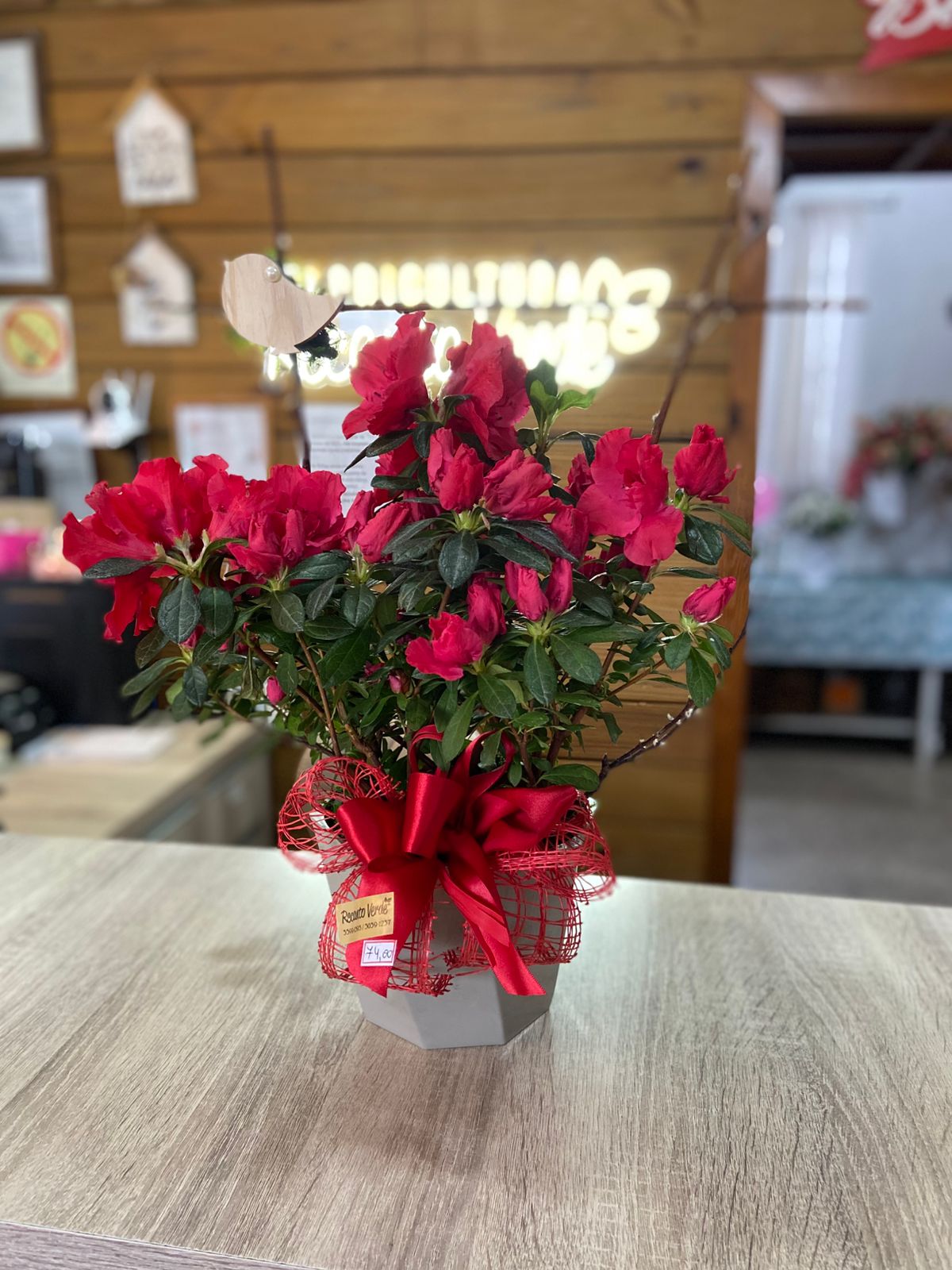 7cb0b6a2-0005-4df1-91b2-3cc98c7cc40c