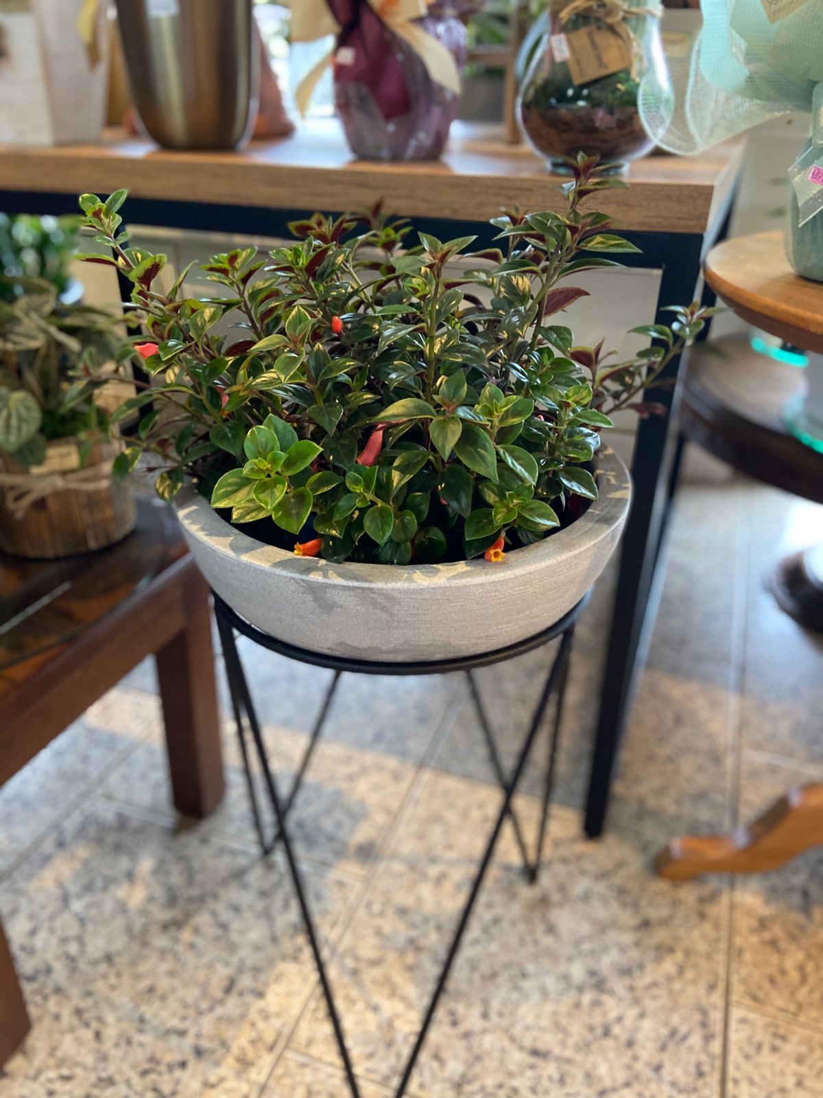 8224218f-cb14-4f08-bbde-312ea87adf03