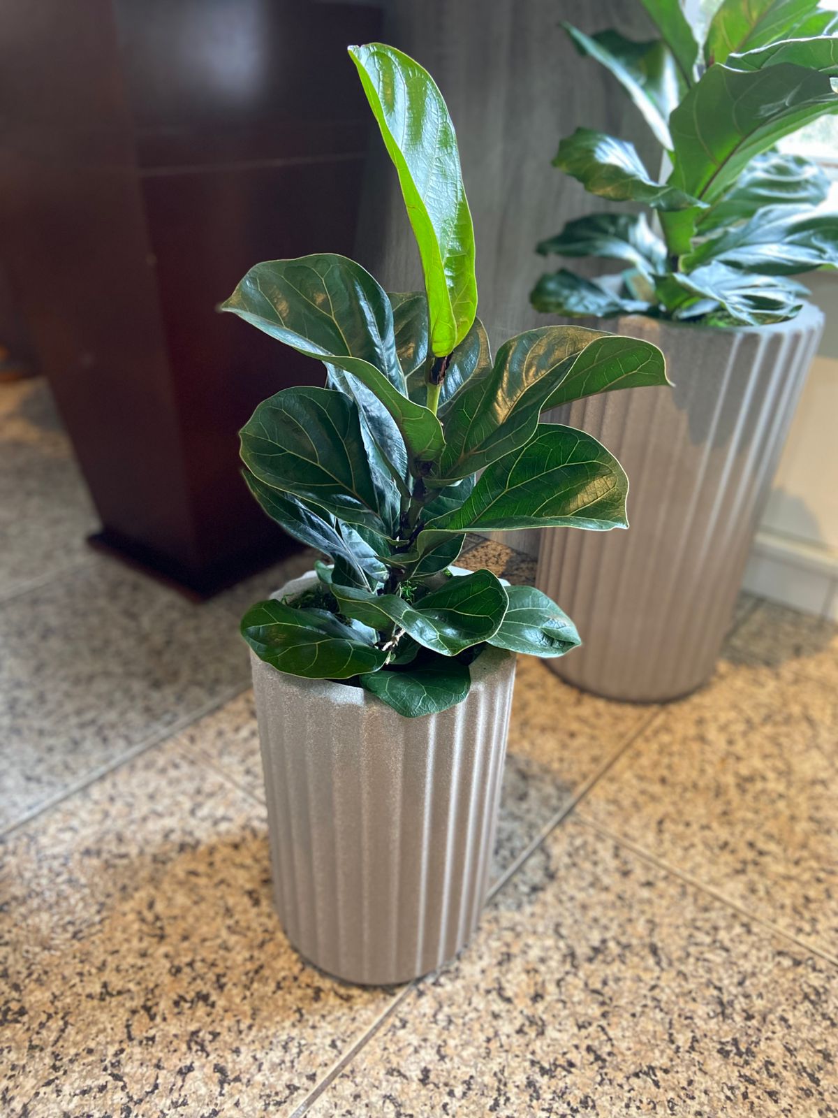 823d817e-5899-419d-af9b-695e033358d5