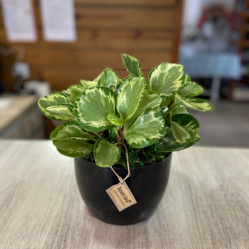 85bf9241-9372-4998-9522-5db4013417ba