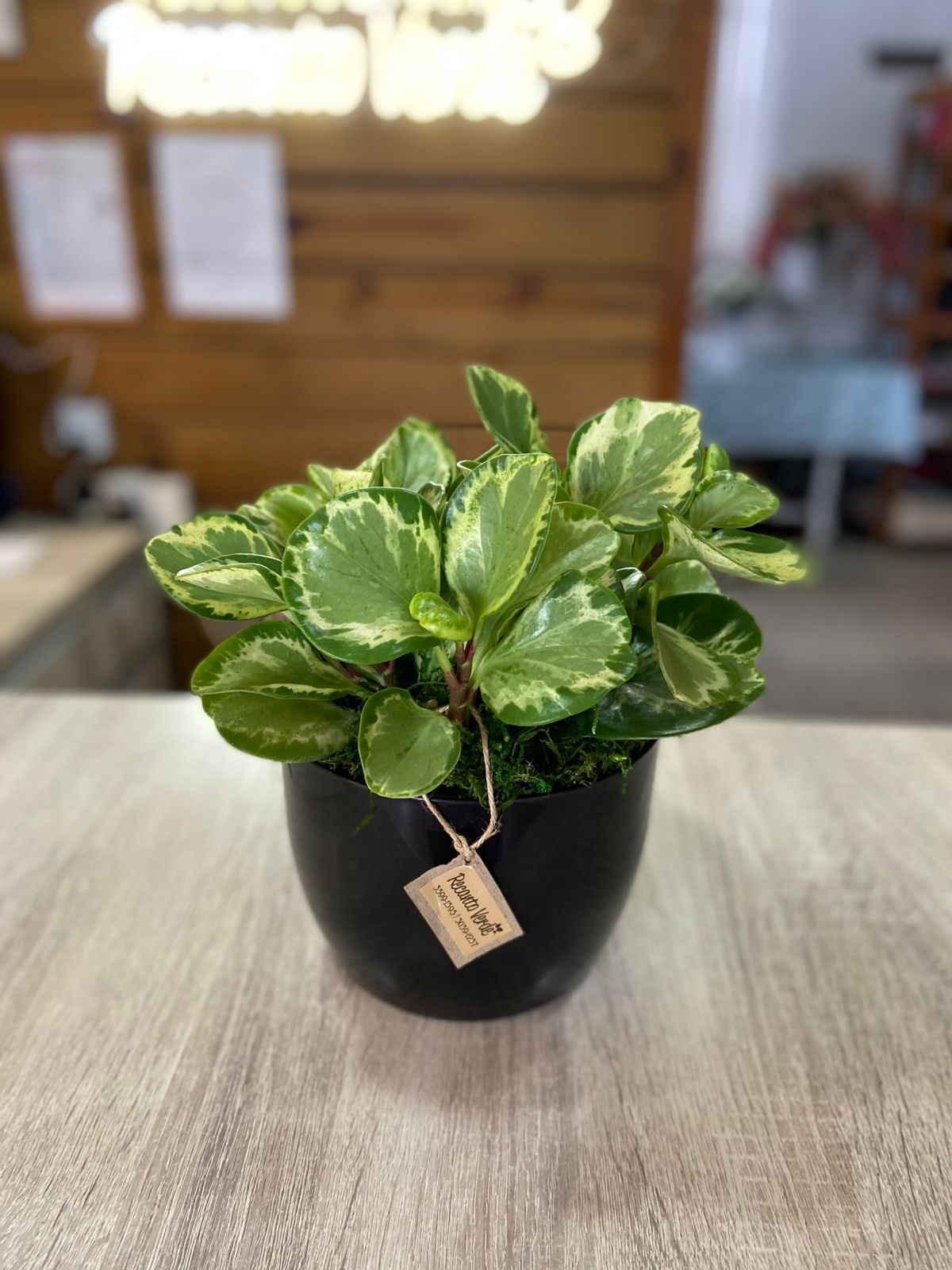 85bf9241-9372-4998-9522-5db4013417ba