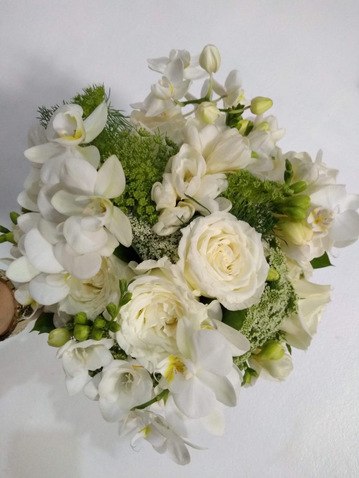 9ff0c636-4c18-487f-a07b-a446bd2cbc2b