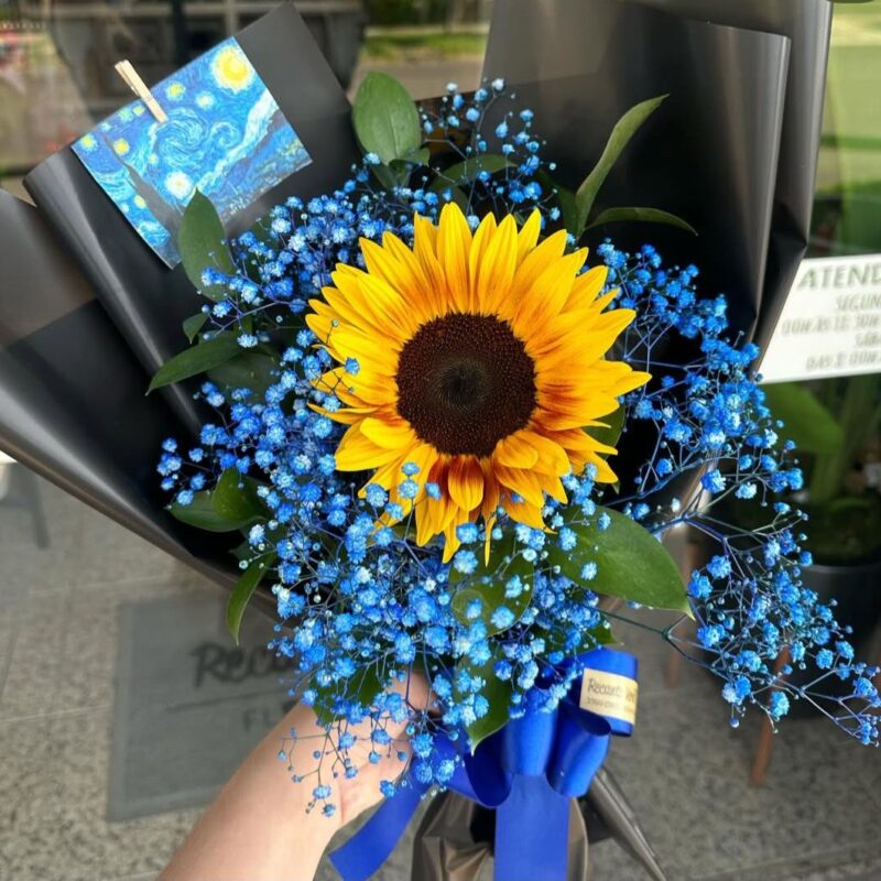 a16512c3-e742-4707-ad1f-aa5a004deaaa