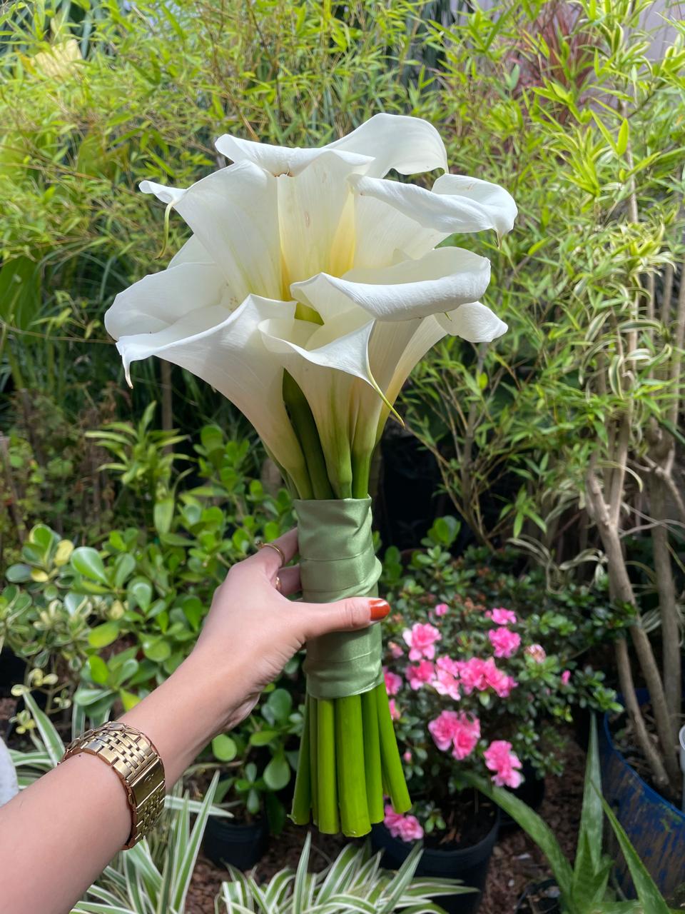 a4c1533d-5a23-42d0-8129-5b655c8ba8ae