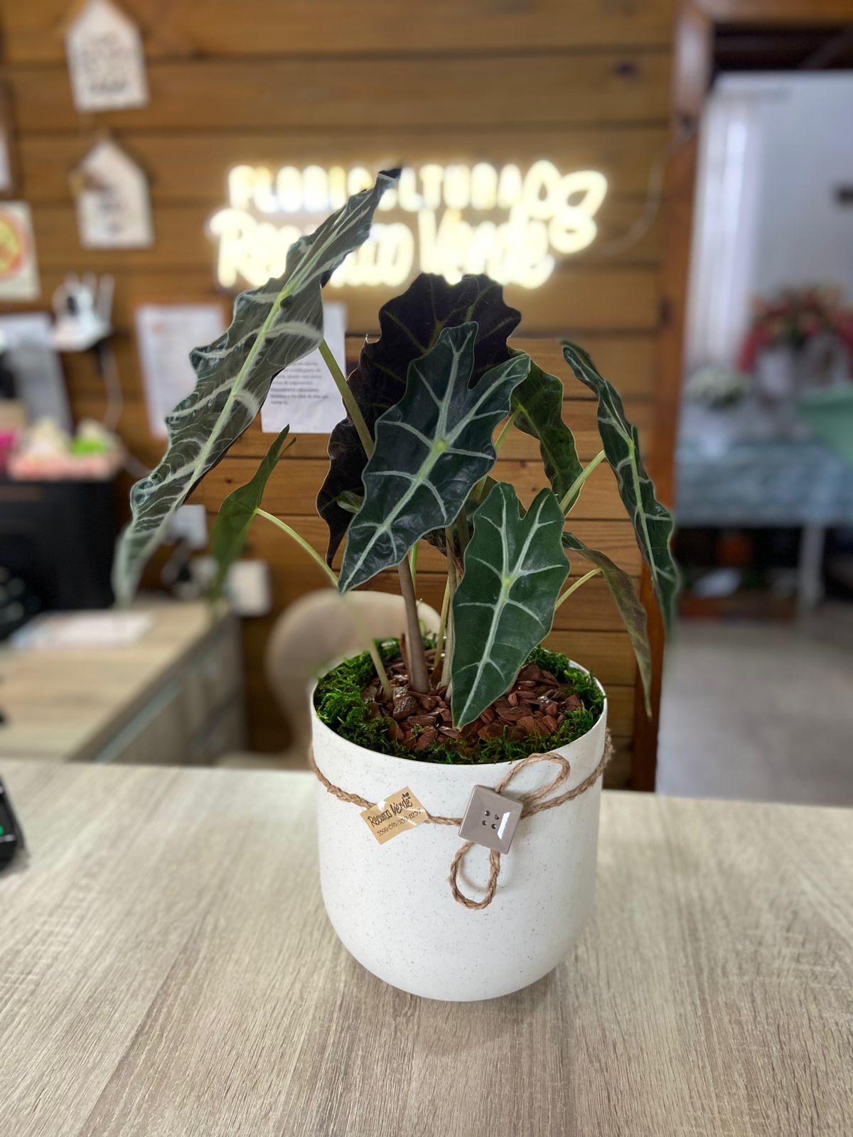 a4ff03cd-f57c-45e1-a990-b6ce1fdc35a0