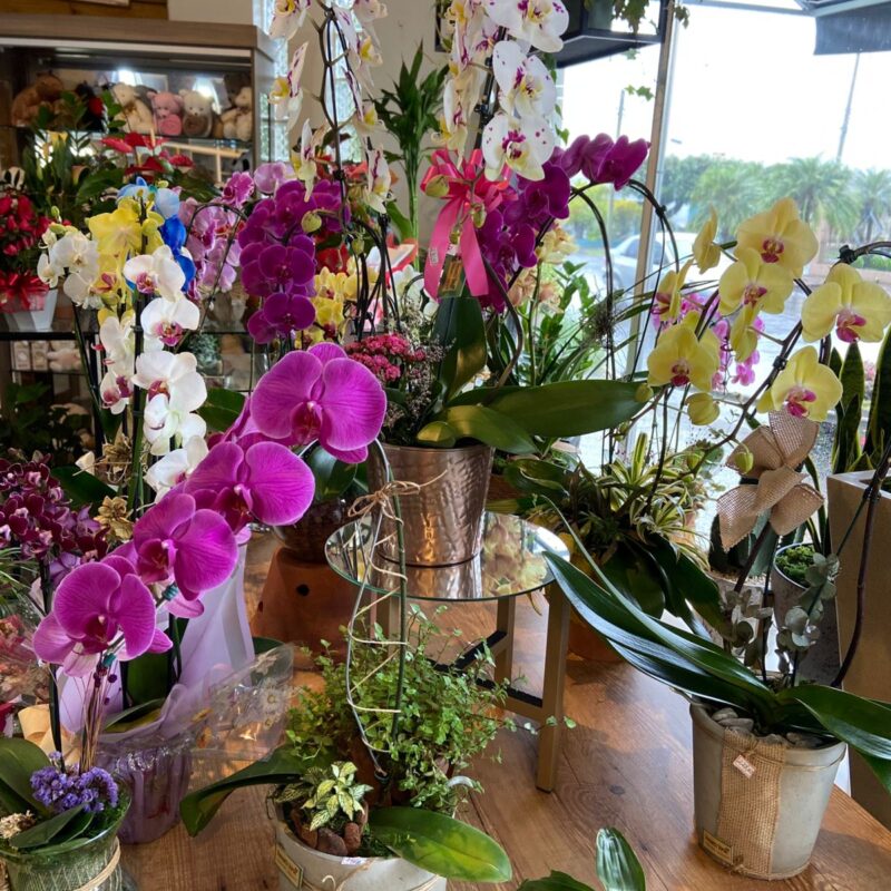 bdd5da1c-7903-47c6-91b9-cd6b36868858