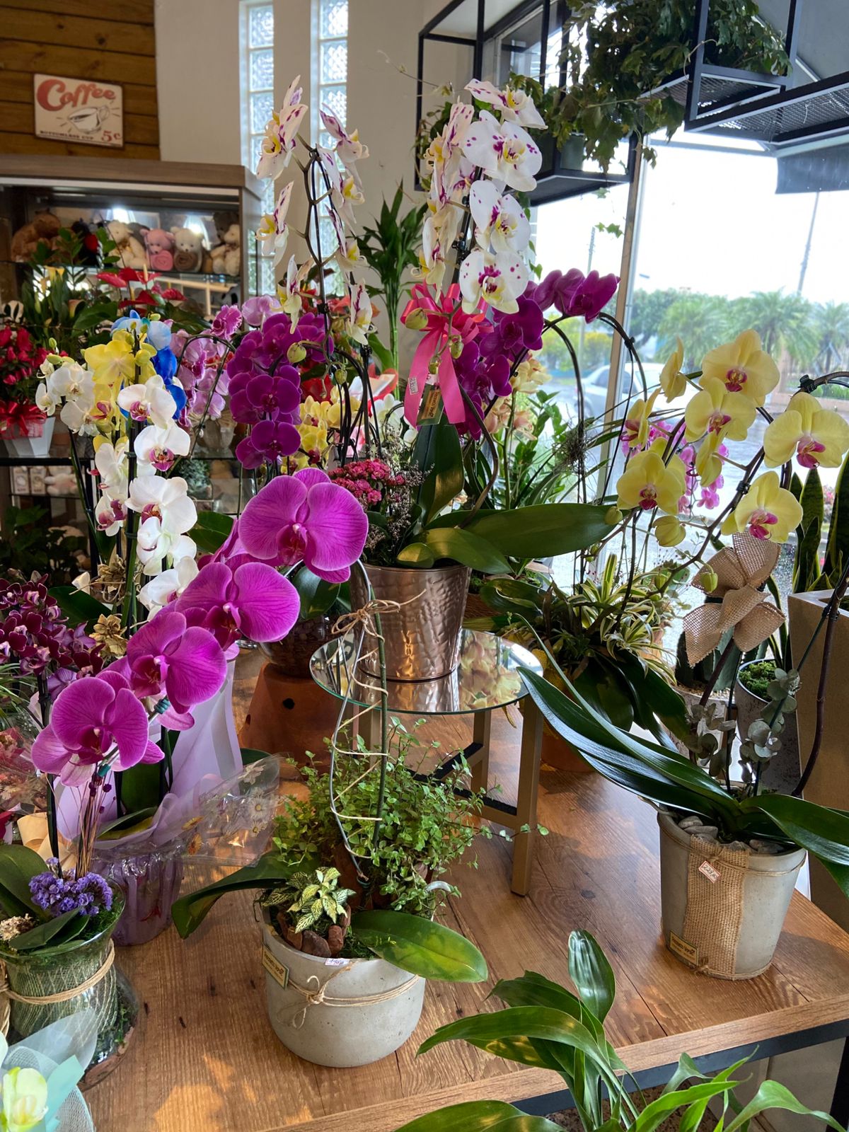 bdd5da1c-7903-47c6-91b9-cd6b36868858