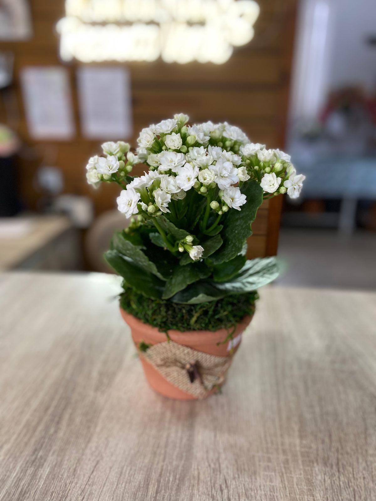 ce992989-476b-4e0e-825d-d2a146b4dc60