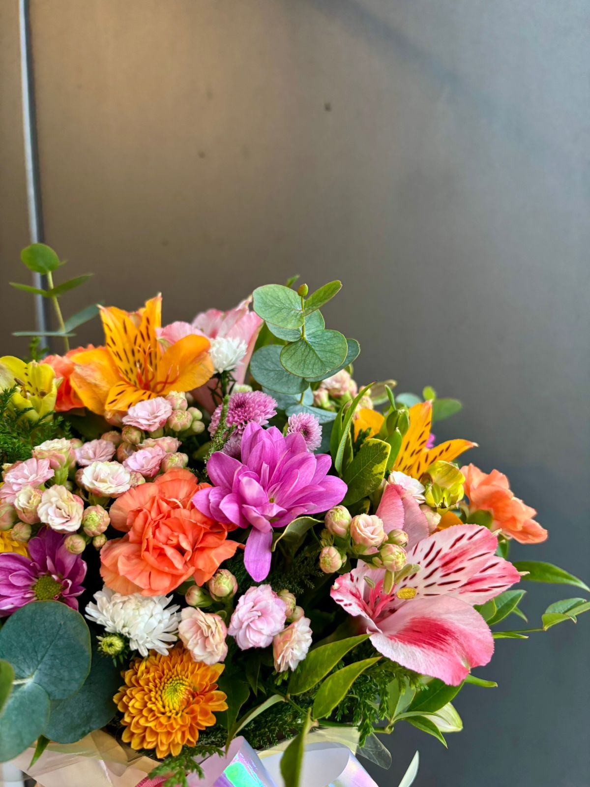 ee040586-9f4e-4ba4-80e6-cec73221f70b