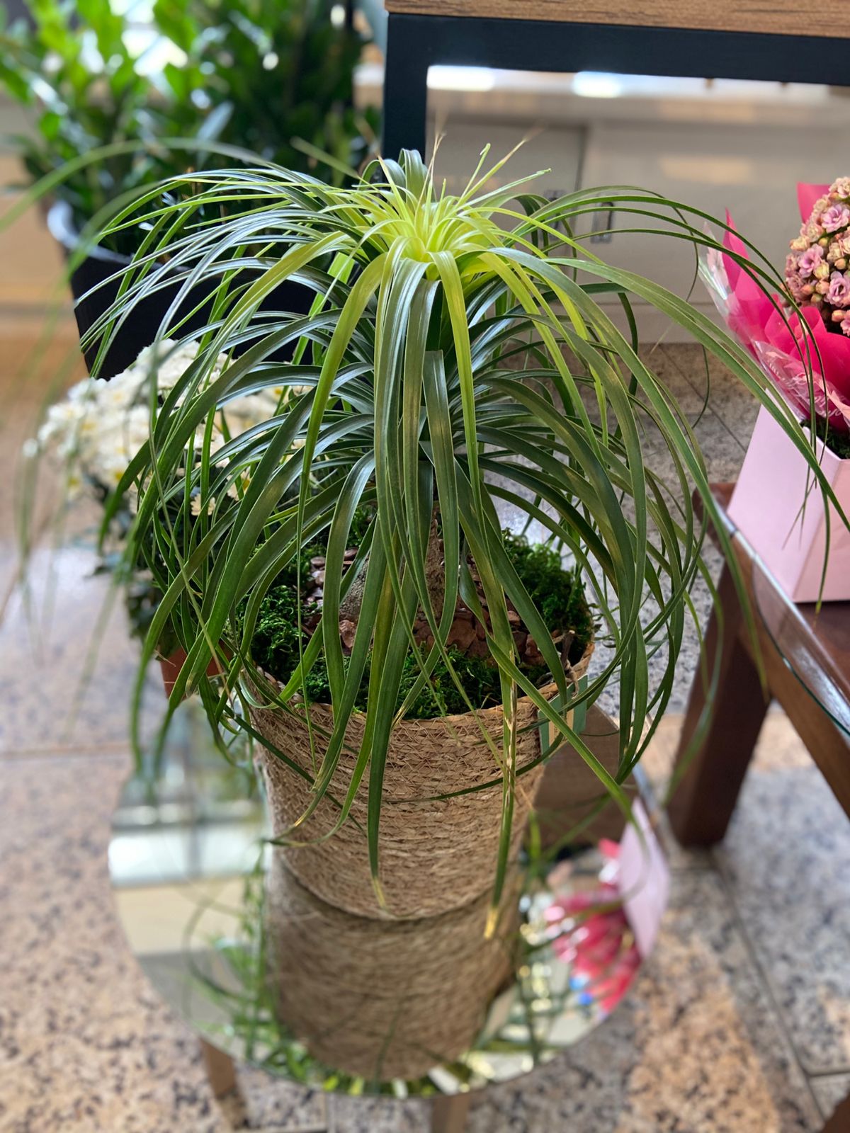 fc4a3811-6f1c-42dc-8db3-de0bcba77165